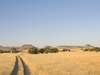 Desert Rhino Camp - Savannah 